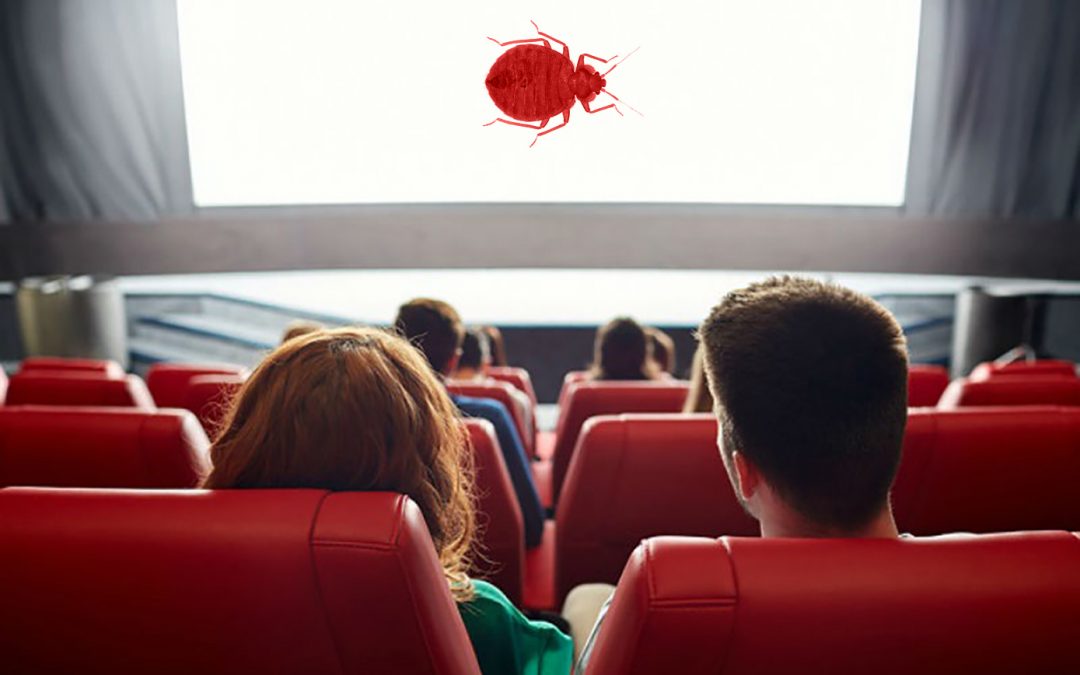 bed bugs in movie theater seats; bed bugs in movie theaters
